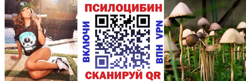 наркошоп  Уржум  Псилоцибиновые грибы Psilocybe 